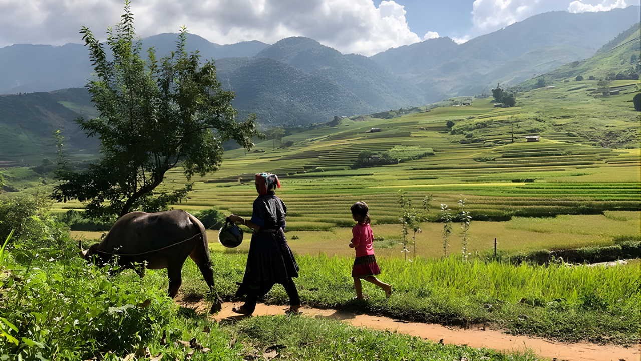 Hành Trình Một Ngày Sa Pa (2)
